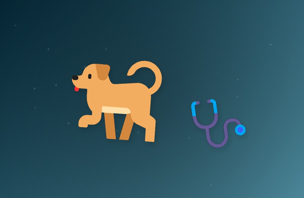 5 Essential Vaccinations Every Dog Owner Should Know